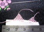 20080921.jpg