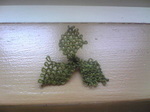 20081012-2.jpg
