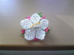 20081016-1.jpg