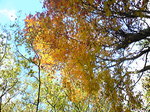 20081029-1.jpg