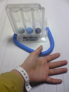 20090403.jpg