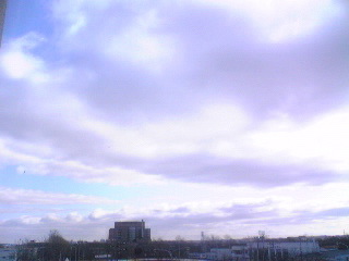 20090411-1.jpg