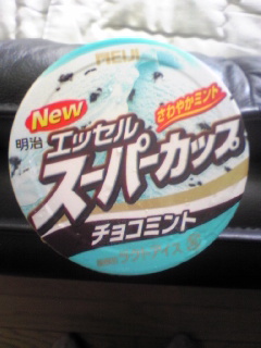 20090621-1.jpg