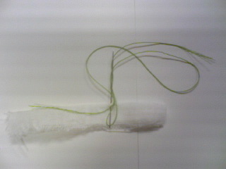20090809-4.jpg