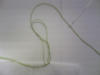 20090809-6.jpg