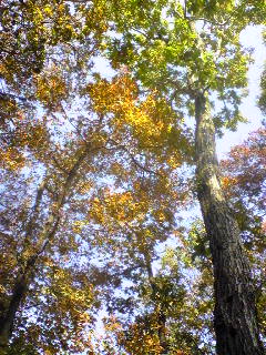 20091016.jpg