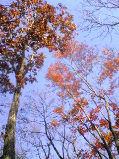 20091023.jpg