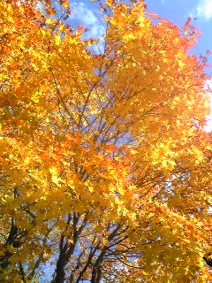 20091028.jpg