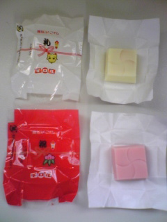 20100126-3.jpg
