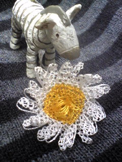 20100127-1.jpg