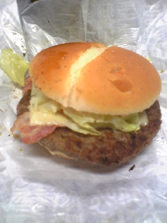 20100209-2.jpg