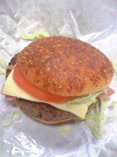 20100322-3.jpg