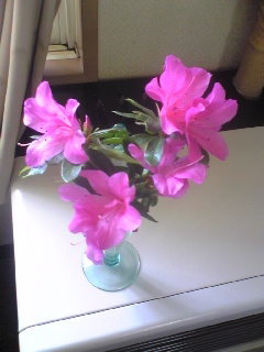 20100412-1.jpg