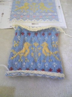 20100415-1.jpg