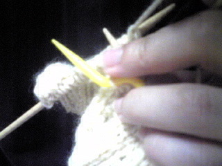 20100503-4.jpg