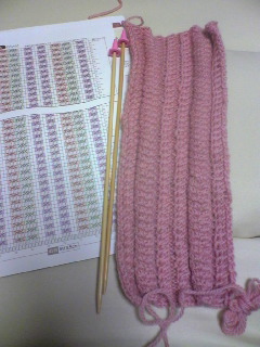 20100704.jpg