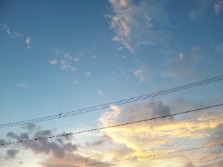 20100901.jpg