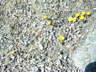 20110327_1.jpg