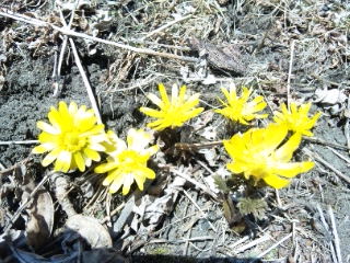 20110327_2.jpg