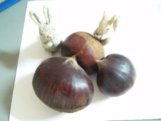 20111003_1.jpg