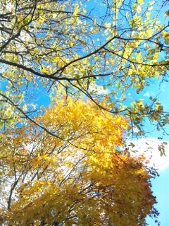 20111027.jpg