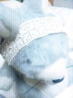 20120312_2.jpg