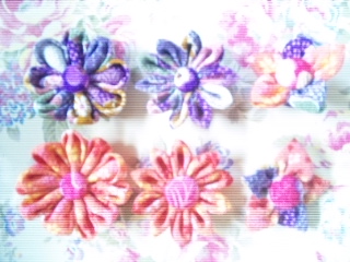 20120505_1.jpg