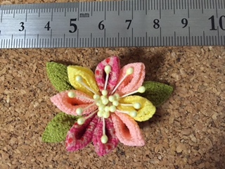 image5.jpeg