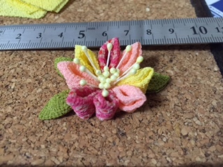 image6.jpeg