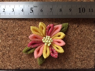 image6.jpeg