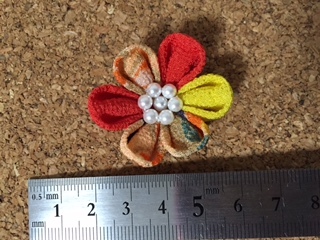 image8.jpeg