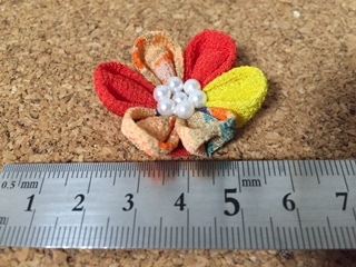 image9.jpeg