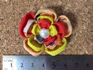 image6.jpeg