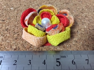 image7.jpeg