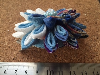 image13.jpeg