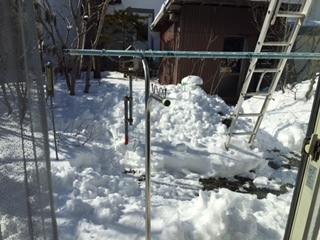 image2.jpeg