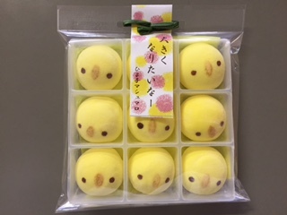image6.jpeg