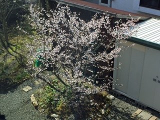 image2.jpeg