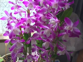 image5.jpeg