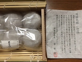 image8.jpeg