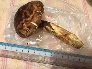 image6.jpeg