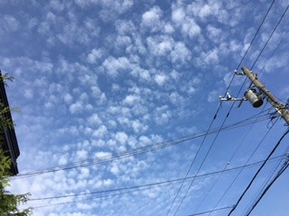 image1.jpeg