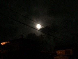 image2.jpeg