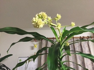 image7.jpeg