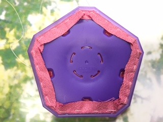 image4.jpeg