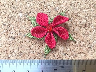 image5.jpeg