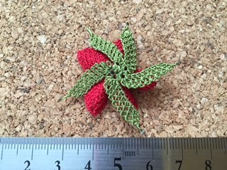 image6.jpeg