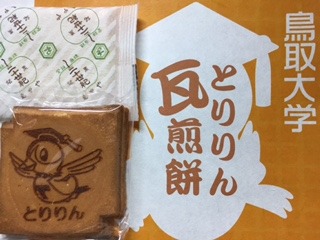 image7.jpeg