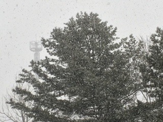 image6.jpeg