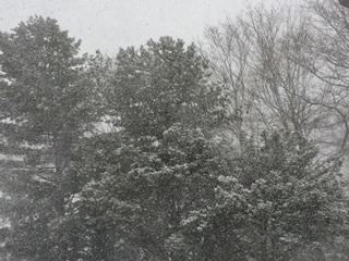image7.jpeg